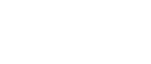 Lico Händler