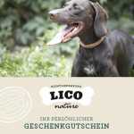 Geschenkgutschein 30€ 