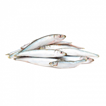 NIVOBA - Fisch am Stück, gefroren 500g 