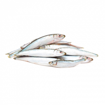 Fisch "PUR", gefroren 2x250g 