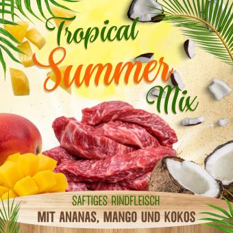 Tropical Summer Mix gefroren 2x250g 