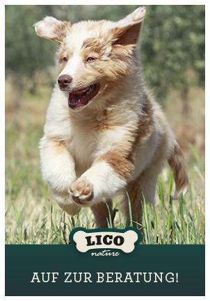 Lico Nature Barf Beratung für Hunde