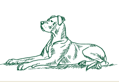Lico Nature Barf für Hunde